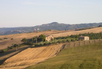 agriturismo bardanella