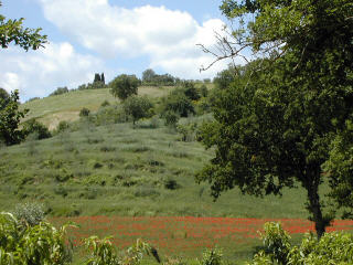 panorama dall' agriturismo